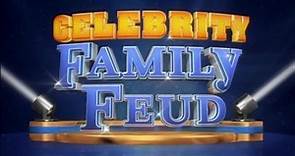 Celebrity Family Feud (TV Series 2008– )