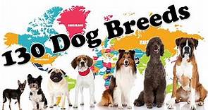 130 Dog Breeds: A Comprehensive Guide to Canine Diversity