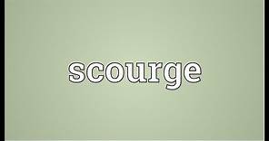 Scourge Meaning