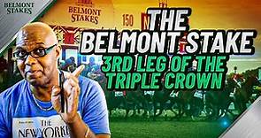 Belmont Stakes Speed King's Preview & Top Picks | Belmont Park 6/10/2023!