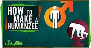 How to Make A Humanzee