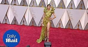 Blanca Blanco stunning on the red carpet at the 2017 Oscars - Daily Mail