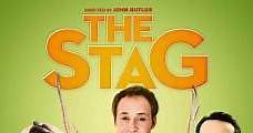 The Stag (2013) Online - Película Completa en Español / Castellano - FULLTV