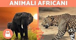 10 animali della SAVANA AFRICANA