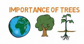 Importance of trees - Facts about trees for kids - Why do we need trees - Simply E-learn kids