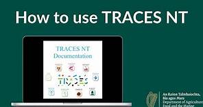 How to use TRACES - the EU trade portal: watch our Brexit expert show traders how to use TRACES NT