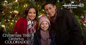 On Location - A Christmas Tree Grows in Colorado - Hallmark Channel