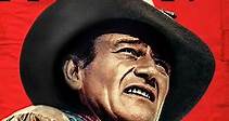 John Wayne Essentials - Westerns  (Bundle)