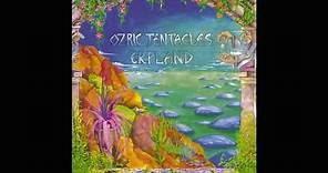 Ozric Tentacles - Erpland [Full Album]