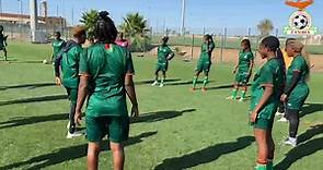 We have to play the World Cup without fear - Avell Chitundu