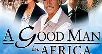 Un buen hombre en África - película: Ver online