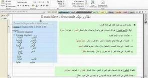 Sigolare, duale e plurale in Lingua Araba - 1a Parte