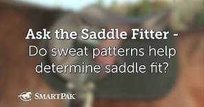 Ask the Saddle Fitter - Do sweat patterns help determine saddle fit?