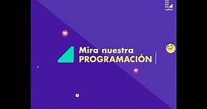 Conoce nuestra nueva programación de Latina TV