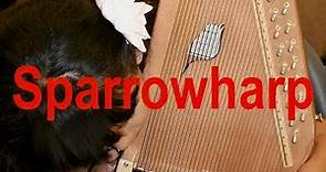 Sparrowharp demo by Evo Bluestein