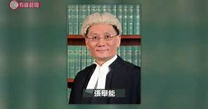 立法會通過張舉能任終審法院首席法官 - 20200618 - 香港新聞 - 有線新聞 CABLE News