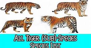 All Tiger (Sub)Species - Species List