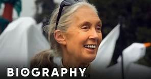 Jane Goodall - Animal Rights Activist | Mini Bio | BIO