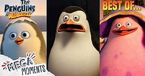 Best of Private | The Penguins of Madagascar | Mega Moments