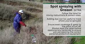 Spot Spraying with Grazon Extra