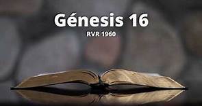 Génesis 16 - Reina Valera 1960 (Biblia en audio)