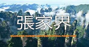張家界天門山國家森林公園，去張家界旅遊，看完這個視頻就夠了Zhangjiajie Tianmen Mountain National Forest Park
