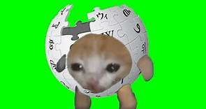 The Wikipedia Cat