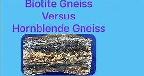 Biotite Gneiss Or Hornblende Gneiss?