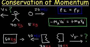 Conservation of Momentum Physics Problems - Basic Introduction