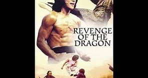 Jackie Chan Classic Movie Revenge Of The Dragon 1979