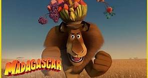 DreamWorks Madagascar en Español Latino | Sorprendido de verme | Madagascar Escape 2 África