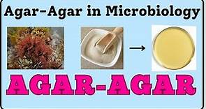 Agar-Agar in Microbiology | Agar-Agar | Agar Powder