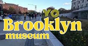 Exploring the wonders of Brooklyn Museum