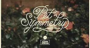 Pet Symmetry - Vision [FULL ALBUM STREAM]