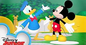 It's Donald Duck's Birthday! 🦆 | Mickey Mouse Clubhouse | @disneyjunior