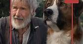 Harrison Ford habla de su película 'El llamado salvaje'