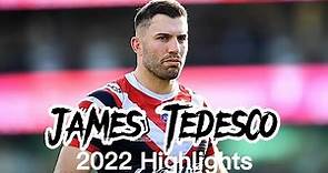 James Tedesco 2022 Season Highlights