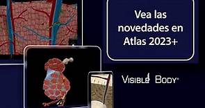 Atlas de anatomía humana 2023＋| ¡Una referencia en 3D completa!