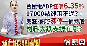 台積電ADR狂噴6.35% 17000點卻頂不過！？威盛、訊芯漲停一價到底 材料大跌支撐在哪？｜新台股龍捲風 徐照興 分析師｜20231113