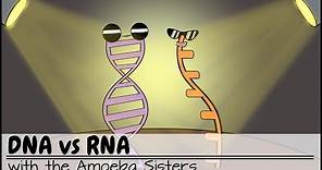 DNA vs RNA (Updated)
