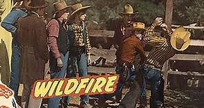 Wildfire The Story of a Horse (1945) | Full Western Movie | Bob Steele | Sterling Holloway |