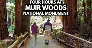An Overview of Muir Woods National Monument