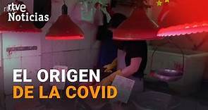 COVID-19: CONFIRMAN el ORIGEN del VIRUS en el MERCADO de WUHAN | RTVE Noticias