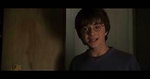 Harry Potter y la Camara Secreta, escena: "Dobby el elfo domestico" Castellano