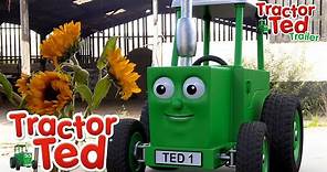 Sunny Seeds🌻 | New Tractor Ted Trailer | Tractor Ted Official Channel