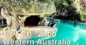 Perth Zoo| Perth Western Australia 2023 | 4K walking tour of Perth Zoo| Perth south City, UHD 60fps