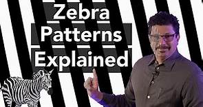 Camera Zebra Patterns Explained