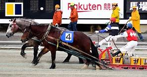 World’s slowest horse race picks up momentum in Japan