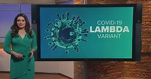 What is the COVID-19 Lambda variant?