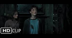 The Truth of Peter Pettigrew | Harry Potter and the Prisoner of Azkaban